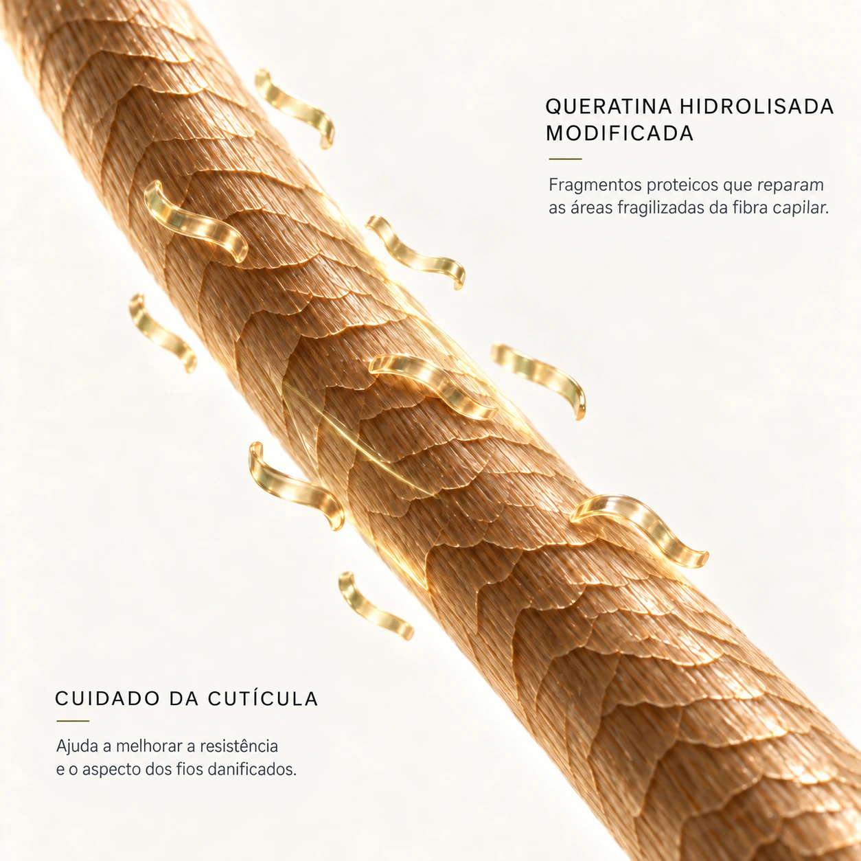 Queratina Hidrolisada Modificada