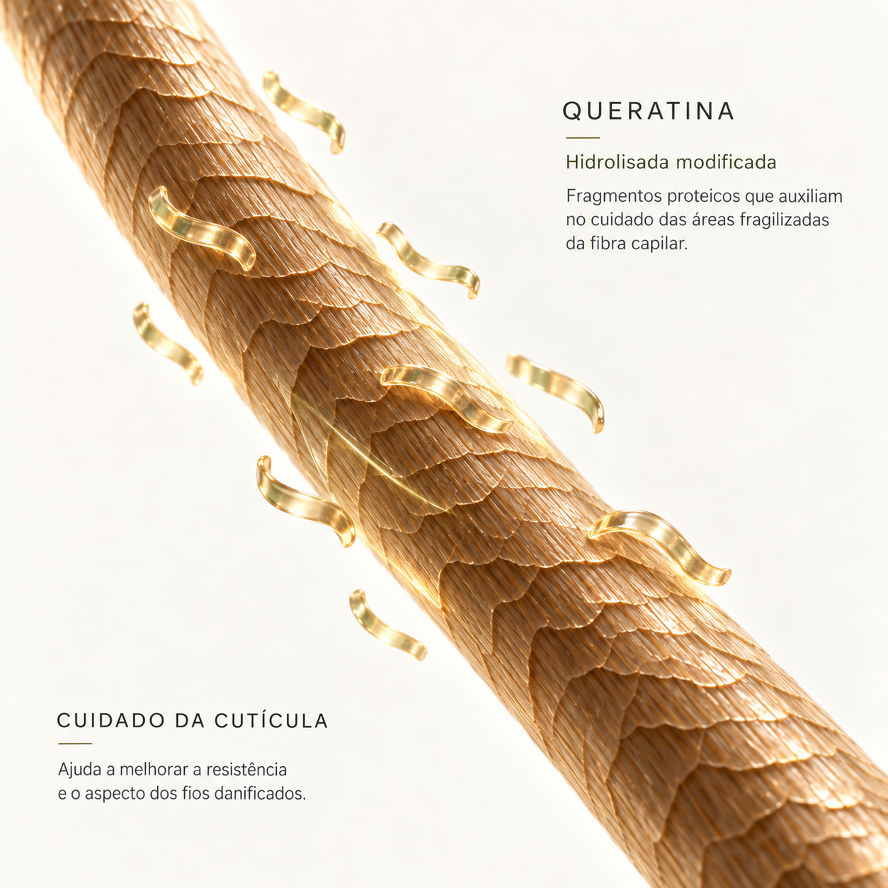 Queratina Hidrolisada Modificada